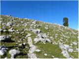 Rifugio Pederü - Sasso delle Dieci / Zehnerspitze